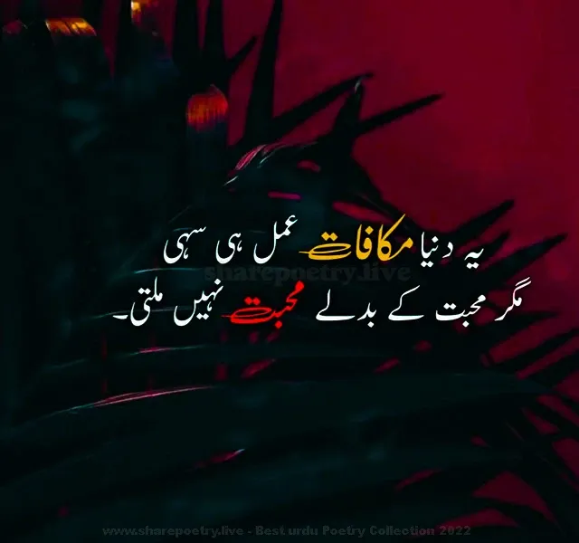Makafat E Aml Muhabbat Shayari In Urdu