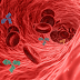 Basic Blood Test for 'Quiet Executioner' Ovarian Disease Not too far off After Disclosure of 3 Obvious Proteins