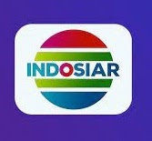 Jadwal Indosiar Hari Ini Selasa 9 November 2021, Jangan Lewatkan Keseruan PERSIS Solo Vs PERSIJAP