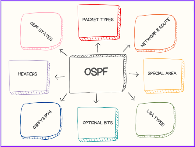 OSPF Interview Questions & Answer Part-1 | OSPF Packet Types & States