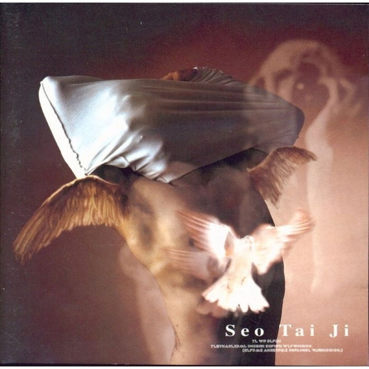 Seotaiji – Seotaiji V