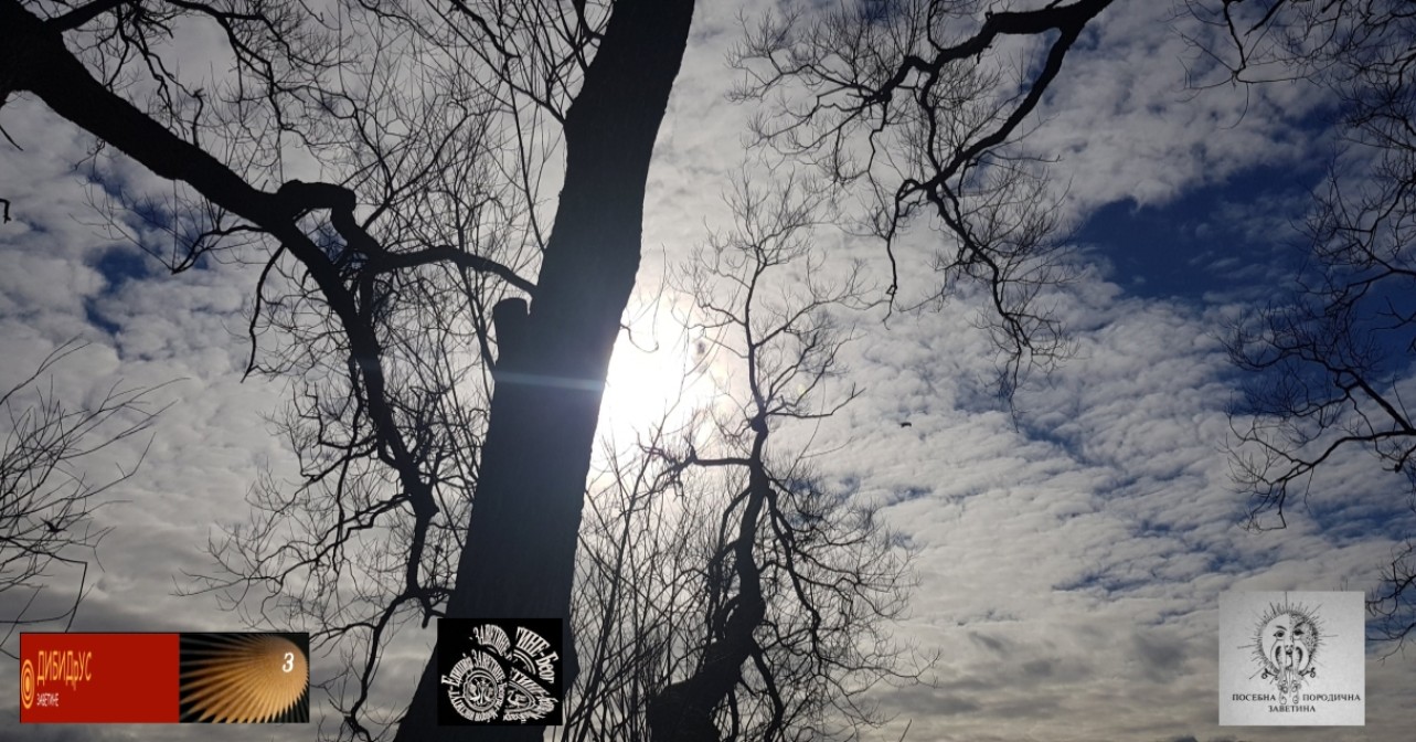 ДИЗ (снимак из Шведске;10.03.2019.)