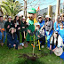  Escuela Blanca Bustos de Chovellén recibe árboles nativos en ceremonia de reforestación