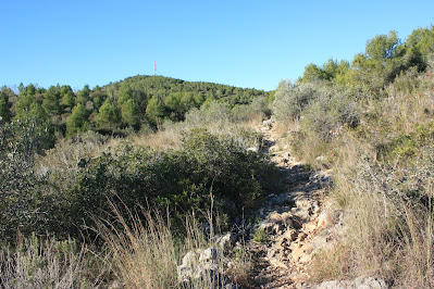 CIMS I COTES DEL BAIX PENEDÈS, EL VENDRELL-EL REPETIDOR-PUIG DEL LLEÓ-PUIG CLAPER-EL RAURELL-ROCA AGUILERA, corriol pedregós en direcció al Repetidor