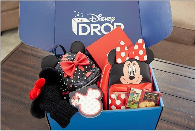 Monthly Disney Fan Club Subscription Box