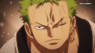 ワンピースアニメ 934話 ワノ国編 | ロロノア・ゾロ | ONE PIECE Roronoa Zoro