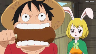 ワンピースアニメ ゾウ編 775話 | ONE PIECE Episode 775