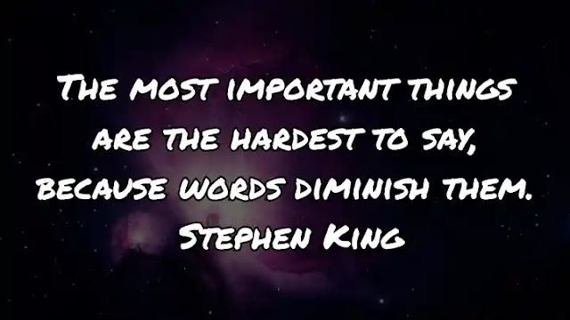 The most important things are the hardest to say, because words diminish them. Stephen King
