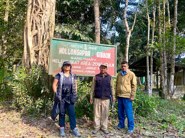 Hollongapar Gibbon Sanctuary