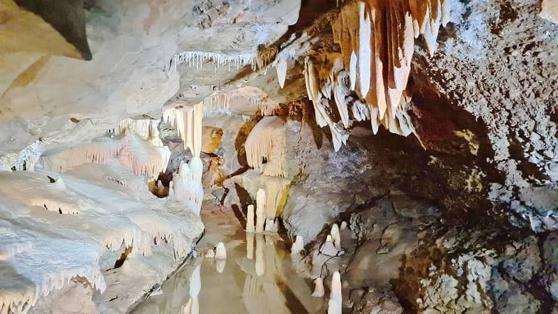 Buchan Caves Reserve