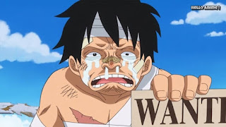 ワンピースアニメ 879話 | ONE PIECE モンキー・D・ルフィ 懸賞金 Monkey D. Luffy