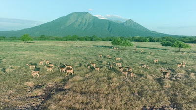 Taman Nasional Baluran