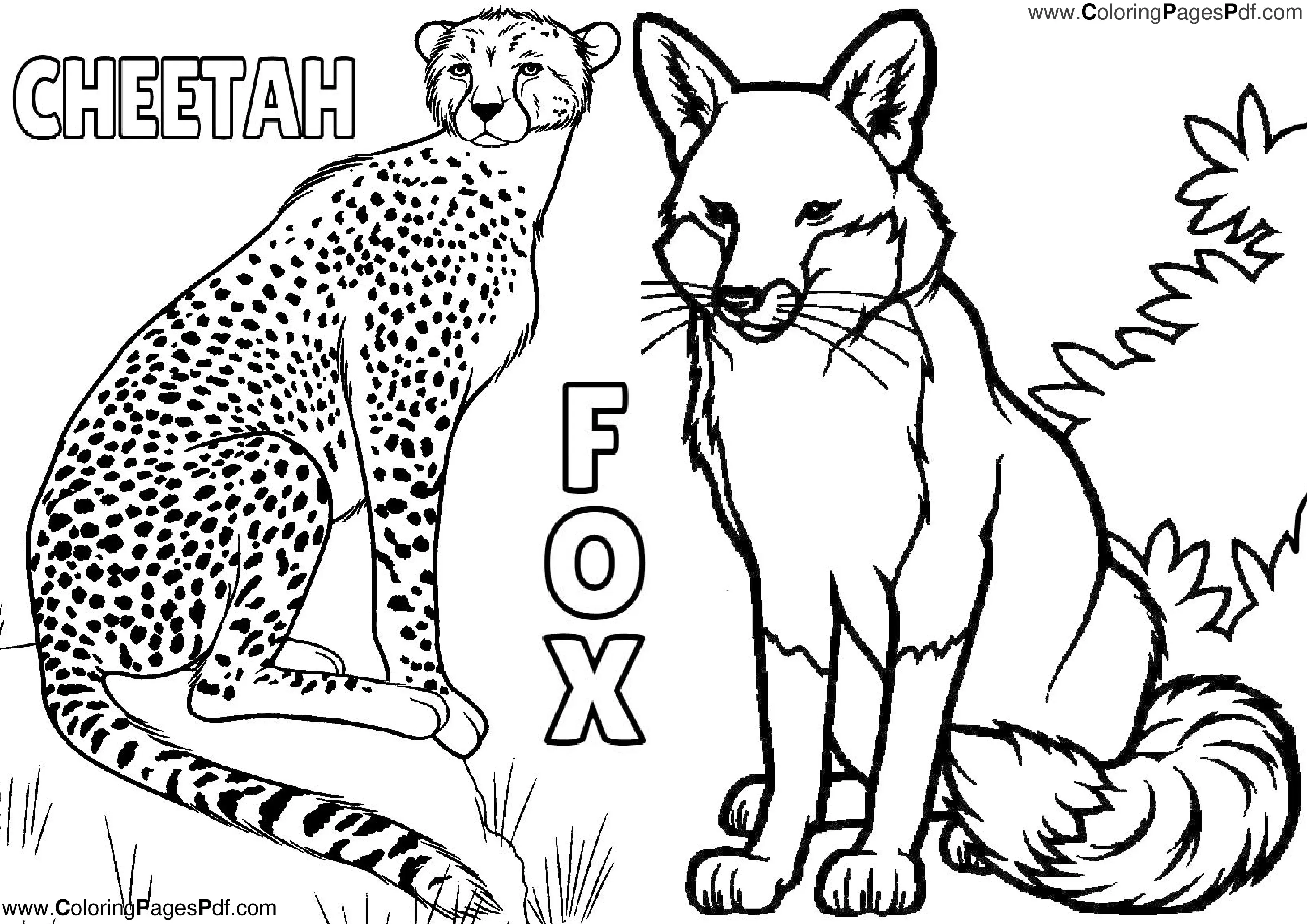 Cheetah & fox coloring pages