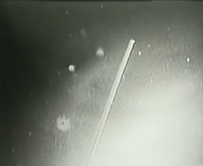 The Tether incident snapshot of Alien UFOs which was NASA mission the STS-75.