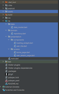 lib files flutter app