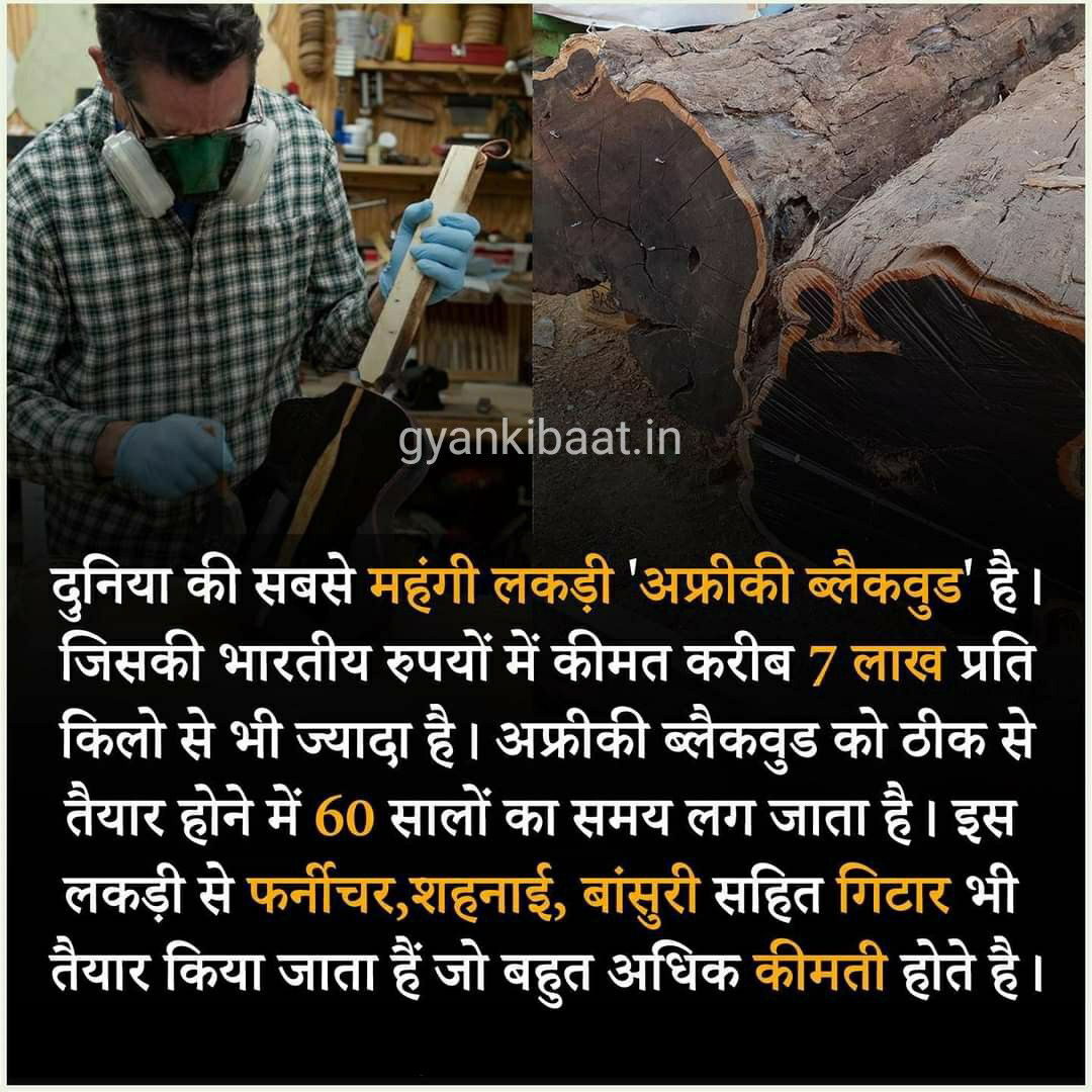चित्र
