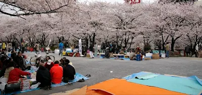 Cherry Blossom Festivals in Japan: जापान में मनाए जाने वाला "चेरी ब्लॉसम फेस्टिवल" एक अनोखा त्यौहार माना जाता है। यह त्यौहार अपने में अनूठेपन के लिए प्रसिद्ध है।