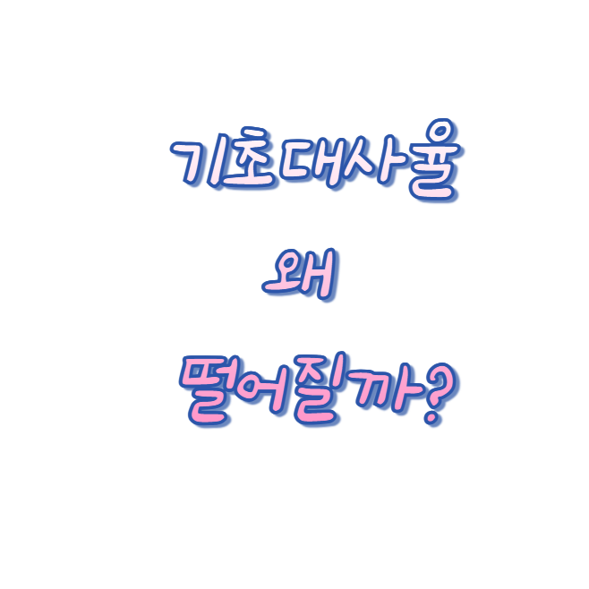 기초대사율 왜 떨어질까?