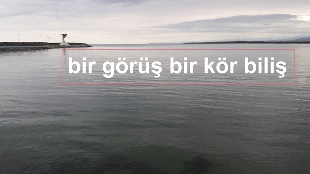 bir görüş bir kör biliş