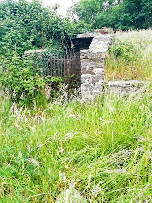 Laois Holy Wells