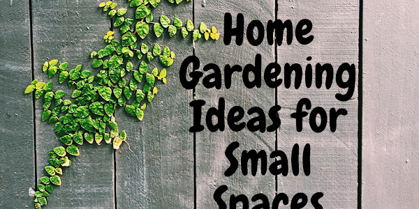 5 Home Gardening Ideas for Small Spaces