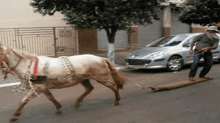 صور نكت مضحكة جدا جدا صور نكت مضحكة جدا جدا