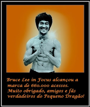 Bruce Lee In Focus alcançou mais de 660.000 acessos!!!