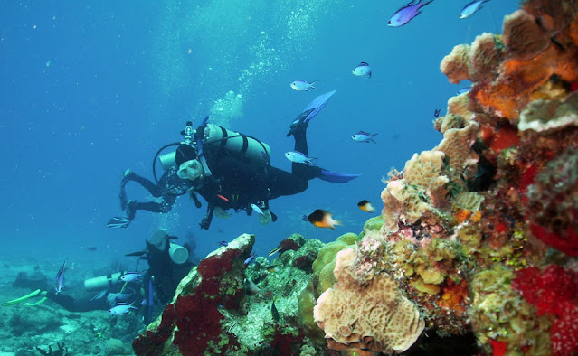 Buceo Cozumel visita QuintanaRoo