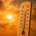 VILA DE REI: Biblioteca Municipal será local de abrigo climatizado do concelho para esta onda de calor