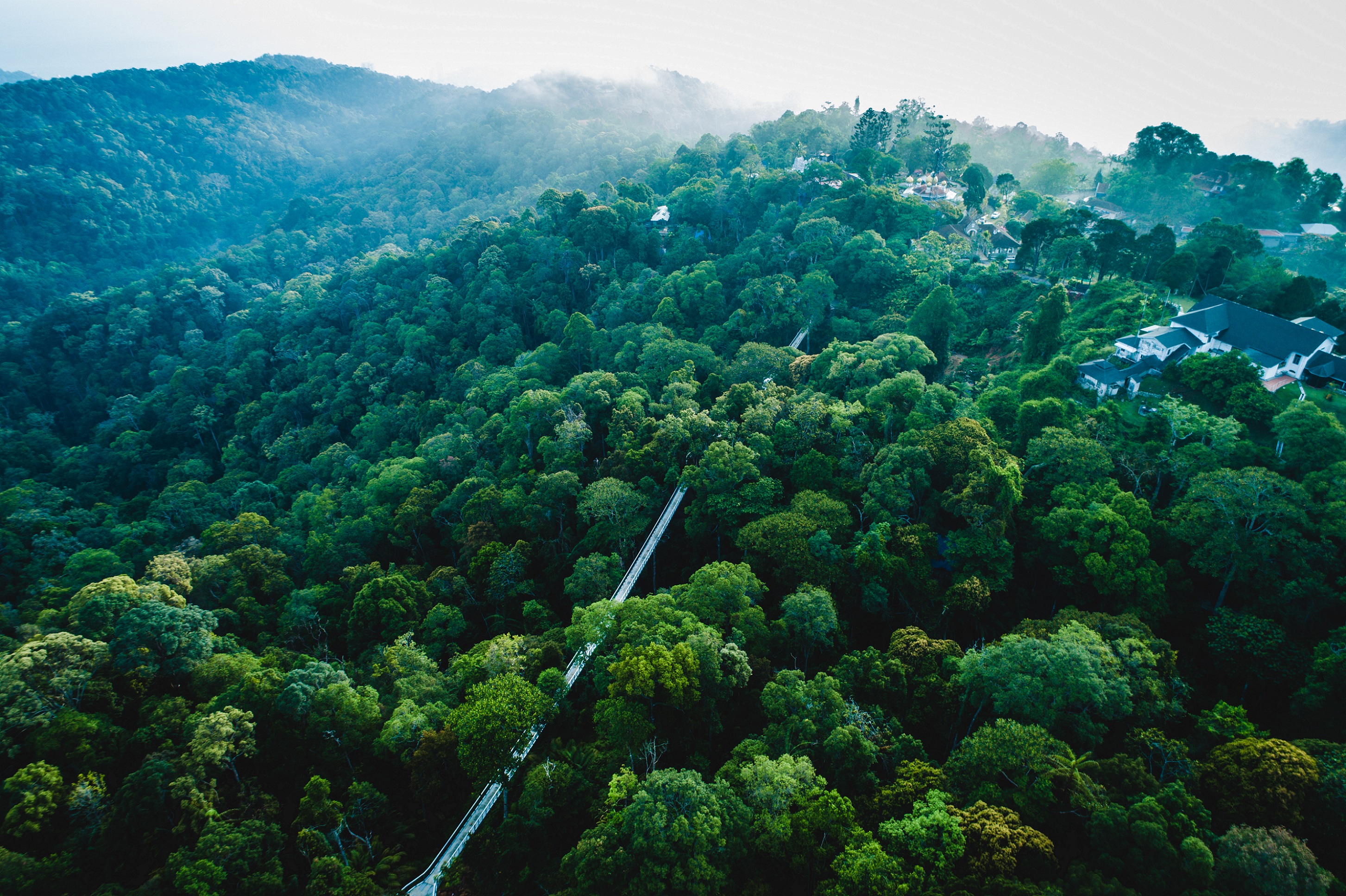 Penang Hill UNESCO Biosphere Reserve,