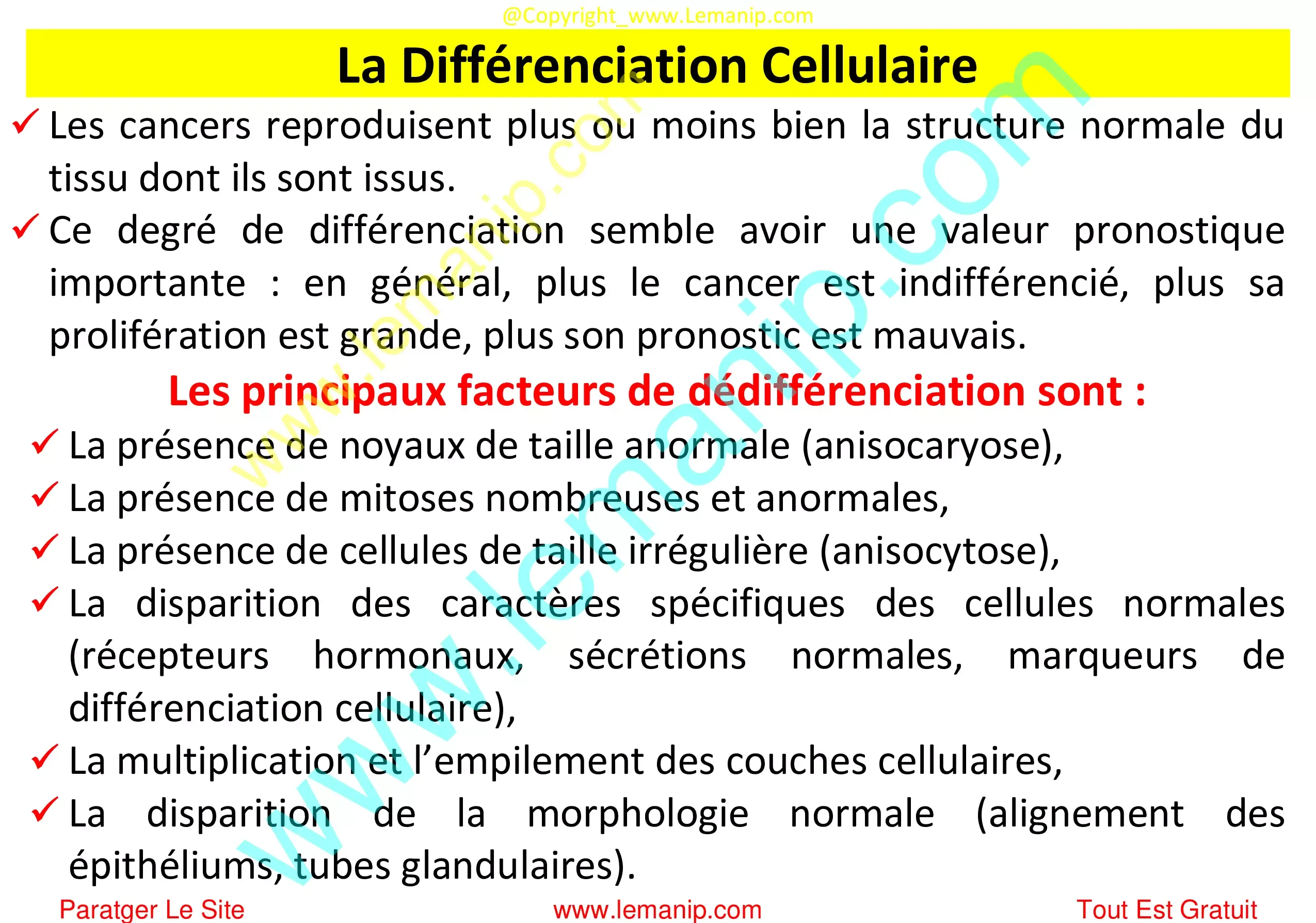 Différenciation Cellulaire