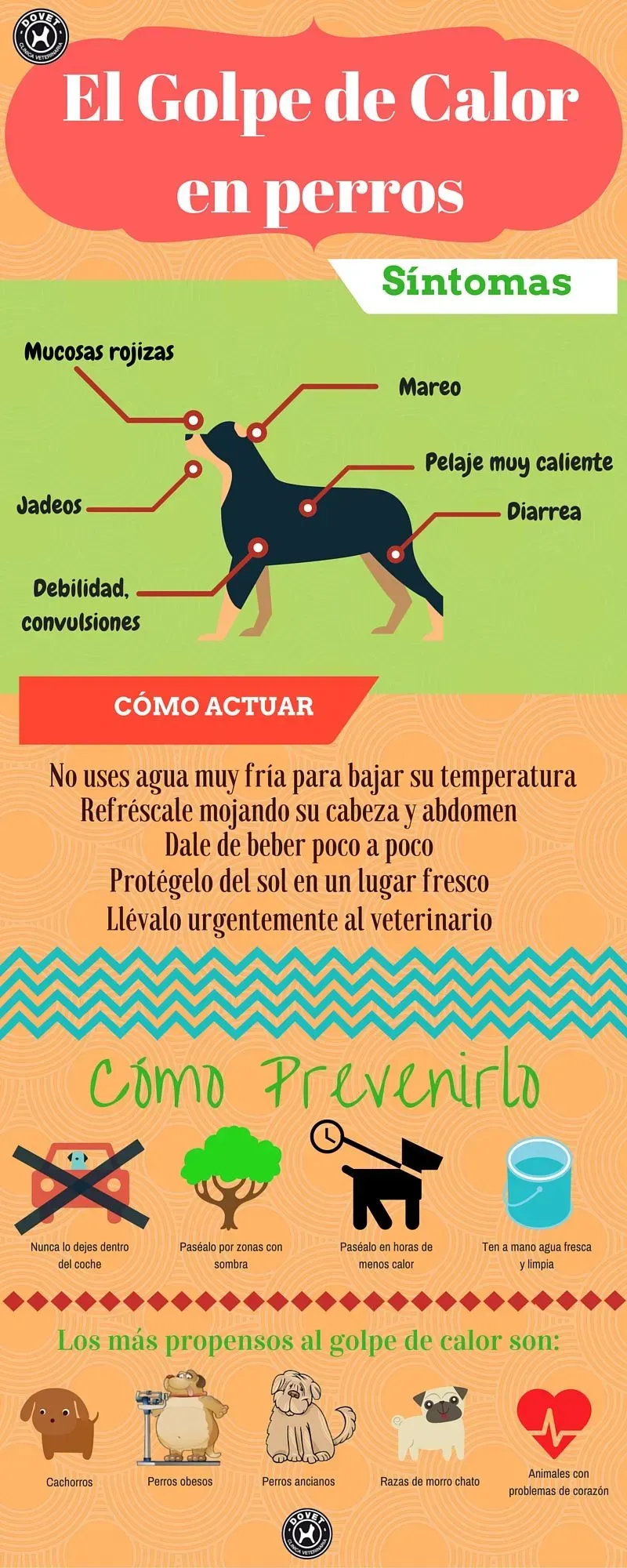 golpe-de-calor-perros