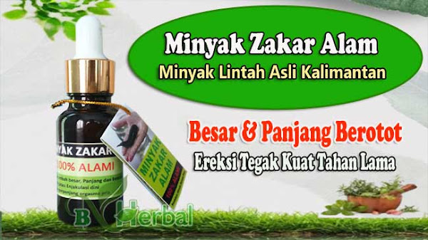 Minyak Lintah Asli Kalimantan Resep Rahasia Pria Idaman