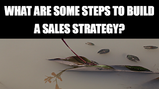 What are some steps to build a sales strategy ?