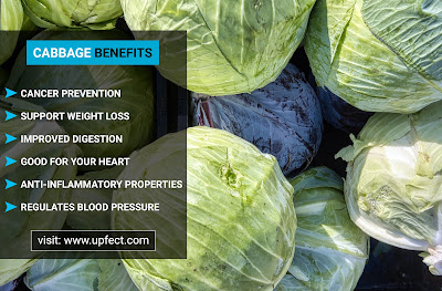Cabbage Benefits For Health