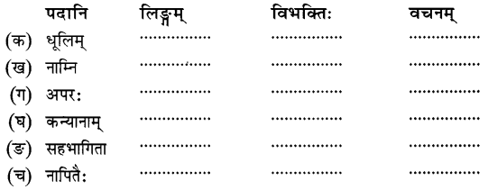 Solutions Class 8 रुचिरा Chapter-11 (सावित्री बाई फुले)