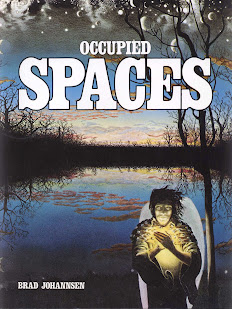 'Occupied Spaces' by Brad Johannsen