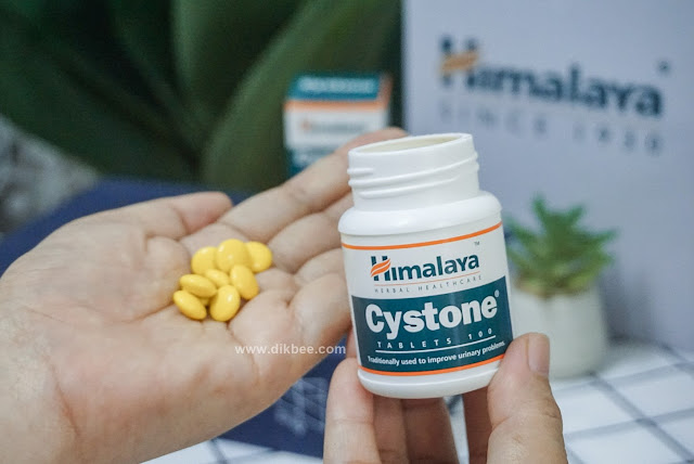 Kebaikan Himalaya Cystone Tablets Untuk Bantu Kesihatan Buah Pinggang