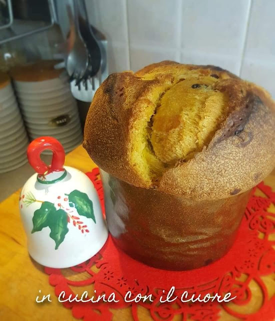 Panettone con harina de sémola triturada