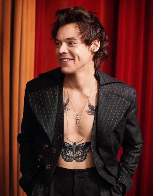 Harry Styles Private Photos Allegedly Leaked Have Gone Viral Online