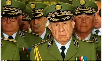 فيديو ،يفضح اكاديب وادعاءات عسكر الجزائر ويورط الاخير في حرائق القبايل