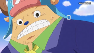 ワンピースアニメ WCI編 848話 チョッパー かわいい カンフーポイント Kung Fu Point | ONE PIECE ホールケーキアイランド編