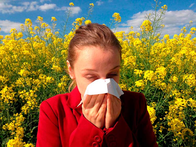 É possível prevenir uma alergia?