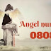 0808 Angel Number – Meaning & Symbolism
