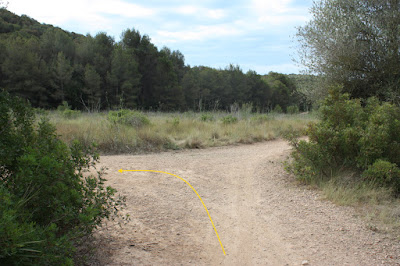 CALAFELL-MONTPAÓ-URBANITZACIÓ VALLDEMAR-TORRE D'EN VIOLA- EL PUJAL-LA TALAIA, camí a la Plana de Cal Borrell