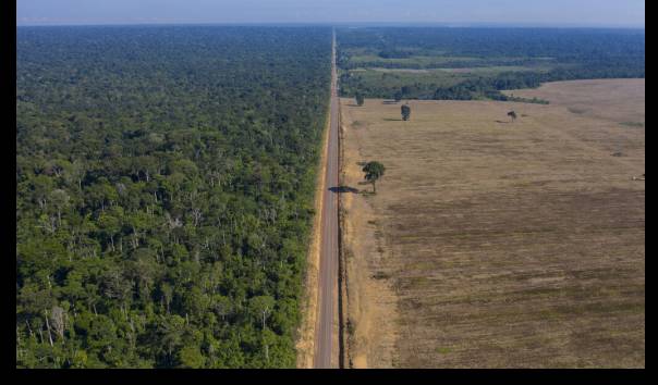 Duh! Imbas Deforestasi, Greenpeace Sebut Palangka Raya Terancam Banjir dan Karhutla Tiap Tahun