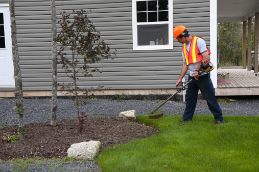 Best Lawn Care Company in Amherst , NY