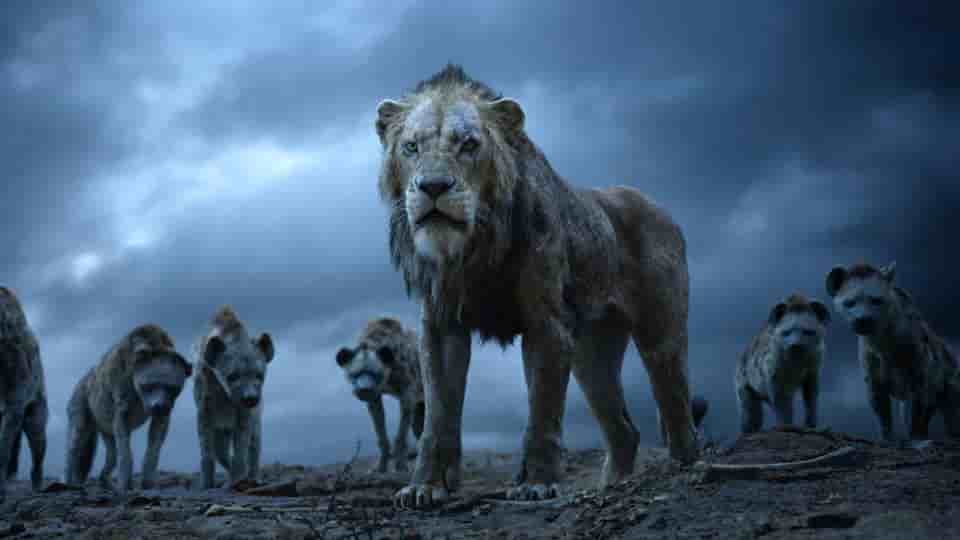 the lion king download filmyzilla, the lion king full movie in hindi download, the lion king 2019 download in hindi filmyzilla, the lion king full movie in hindi download filmyhit, the lion king 2019 full movie in hindi download filmyhit,