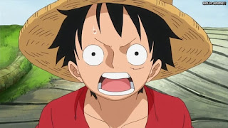 ワンピースアニメ ゾウ編 772話 ルフィ Monkey D. Luffy | ONE PIECE Episode 772