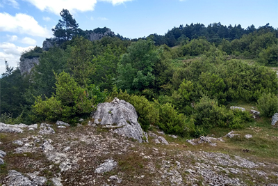 Collado de Herramuera